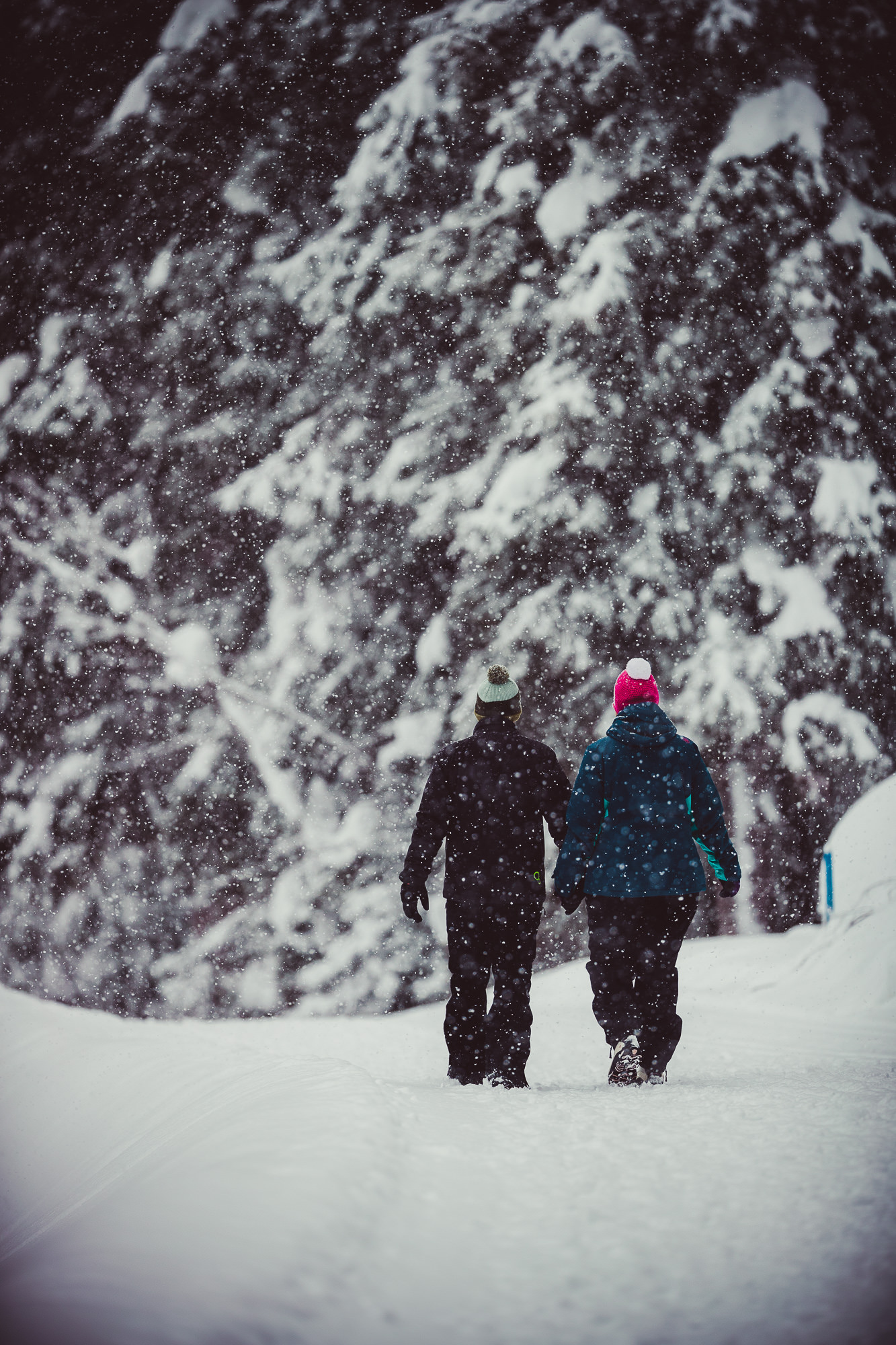 Export x3 1DX28920 Verlobungsfotoshooting 2018 Anna & Dominik 2